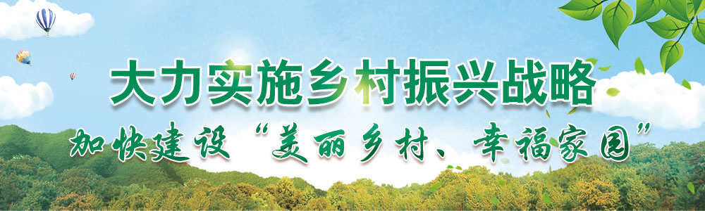大力實(shí)施鄉(xiāng)村振興戰(zhàn)略